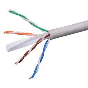 Cat D-Link Cord