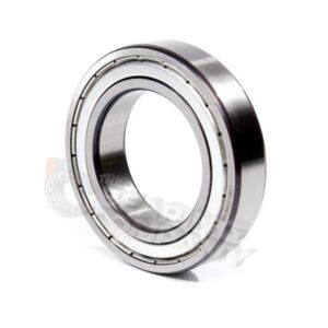 SKF Bearing 6007/ZZC3