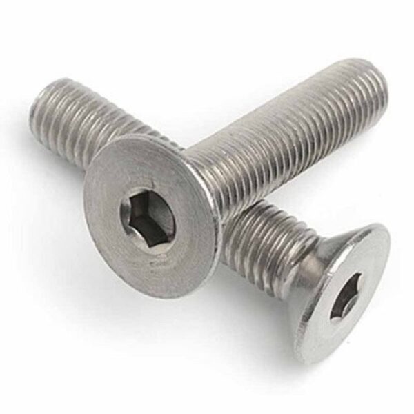 CSK Allen Bolt SS 12 x 35