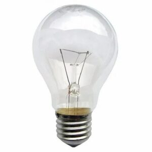 Bulb 100 Watt