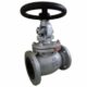 Globe Diapharus Valve