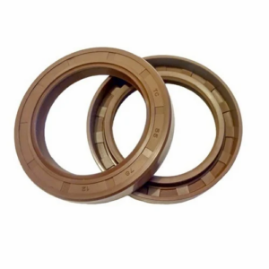 Viton Oil Seal 10 x 22 x 7